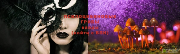 бошки Алексеевка