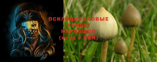 бошки Алексеевка