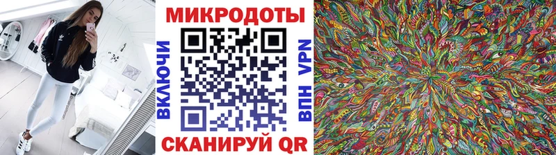 Галлюциногенные грибы Psilocybine cubensis  Ставрополь 