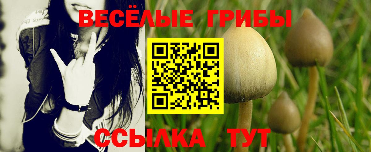 Псилоцибиновые грибы прущие грибы  Галлюциногенные грибы ЛСД  Вход с VPN  Ставрополь 